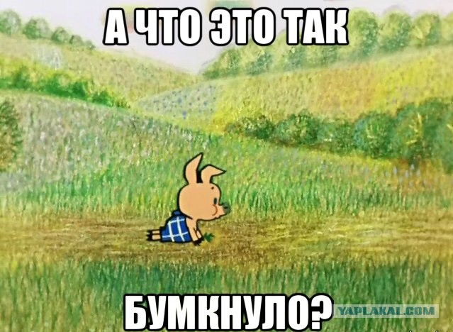 Попили бражки...