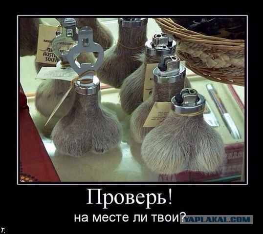 Весёлое из сети