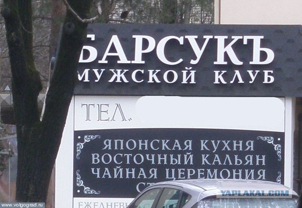 Суководитель