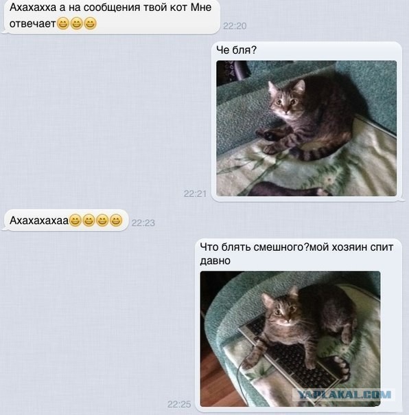 Смешные комментарии из соцсетей