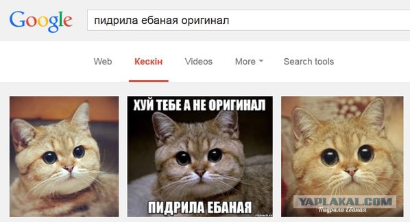 Смешные и не очень картинки из ВК