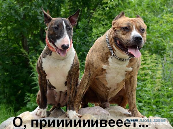 Сколько нужно времени для того, чтобы вскрыть вашу