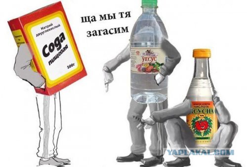 Забавные картинки из интернетов