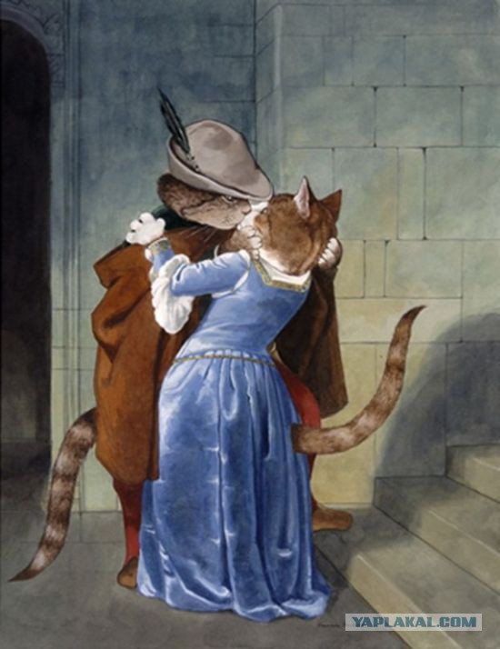 Котовторник.