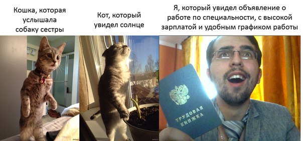 Пятничная подборка
