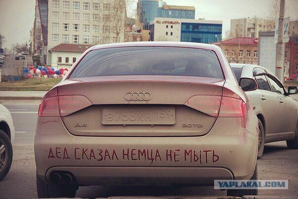 Забавные картинки из Сети