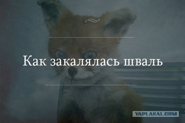 Просто картинки