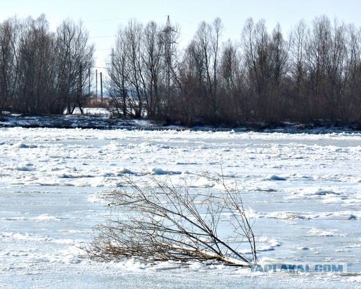 Черное море... замерзло!