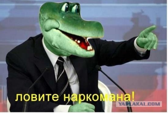 Оно, таки, светится!