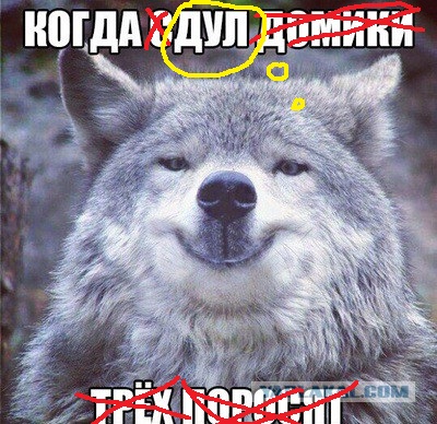Придет серенький волчок