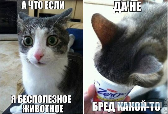 Котокомиксы