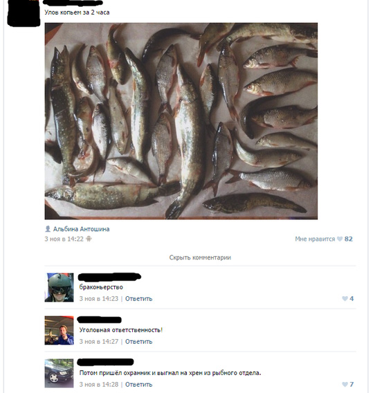 Картинки
