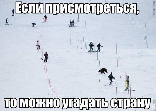 Прикольные картинки
