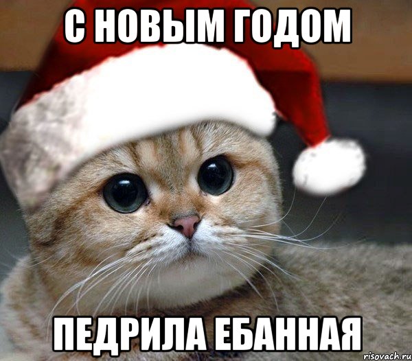 Подборка предновогодних картинок и не только