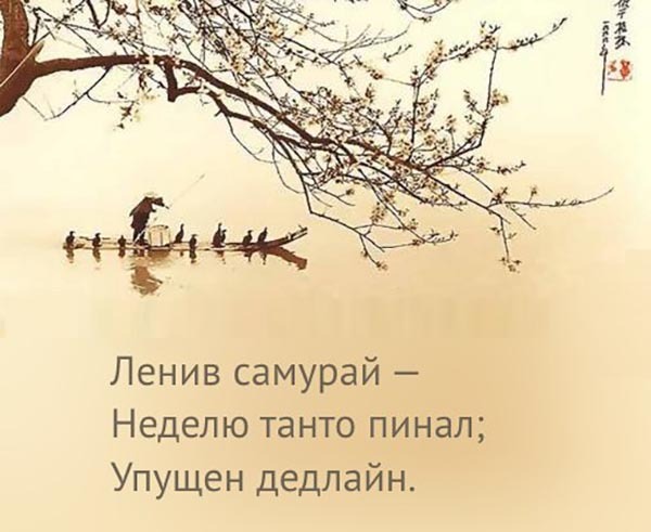 Картинки,гифки.