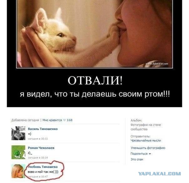 Прикольные картинки