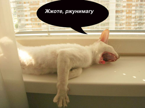 Уже да :) Ужо пятнецца...