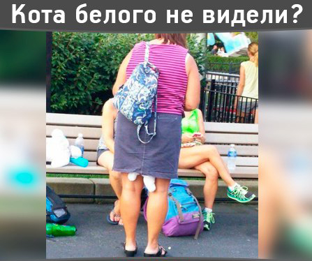 Картинки из сети
