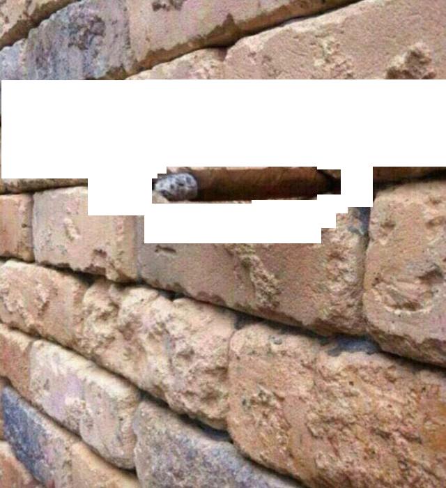 Найдите лишний предмет на фото