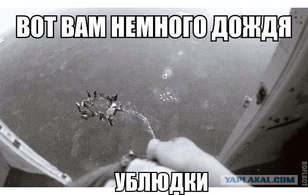 Подборка смешных картинок с надписями