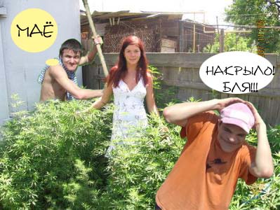 Фотожаба: Дай друг лопату мне