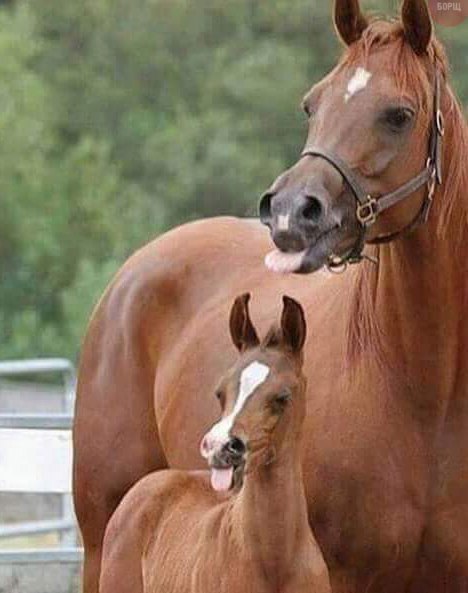 Винегрет фоток на пятницу...