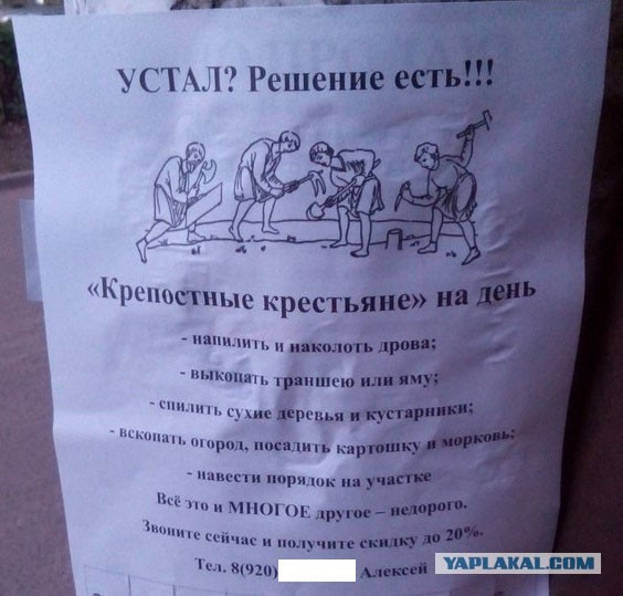 Смешные картинки из сети на 21.10.16