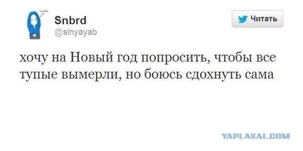 Порция пикчей из палаты №6