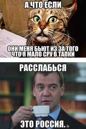 Отупляющие приколы