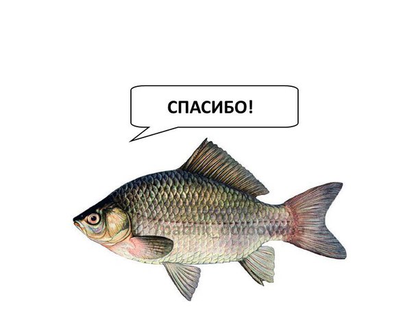 Новогодние картинки