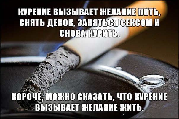 Подборка безудержного веселья