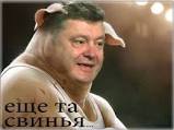 К нам приехал президент!