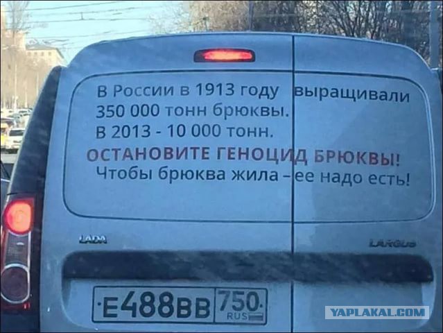 Подборка интересных и веселых картинок