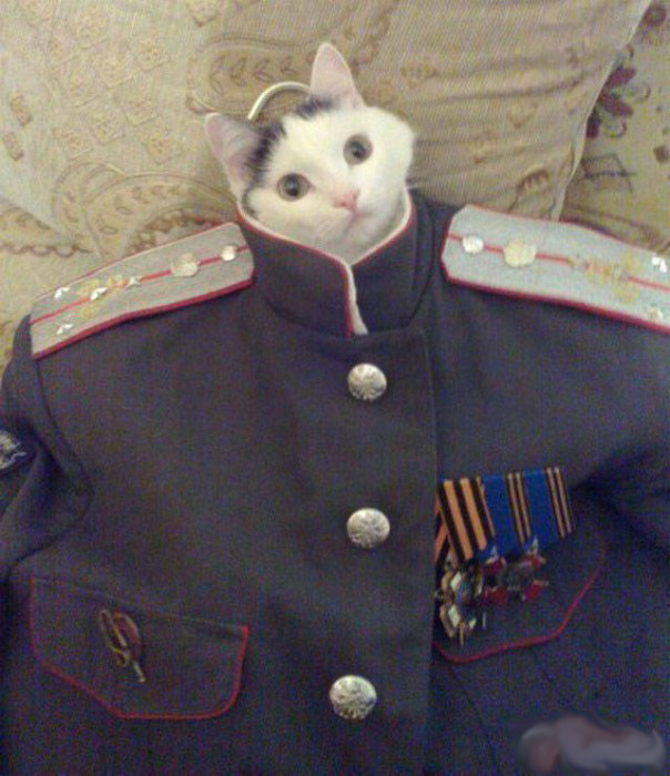 Порция воскресных картинок