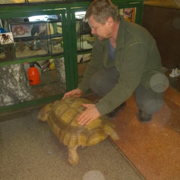 Побег из "шоушенка": в Иркутске две черепахи сбежали из вольера, разбив стекло