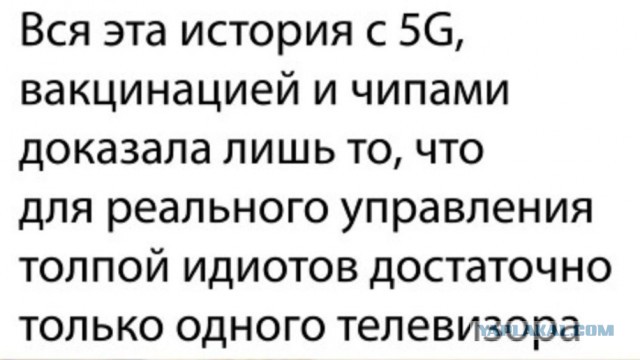Чипизация