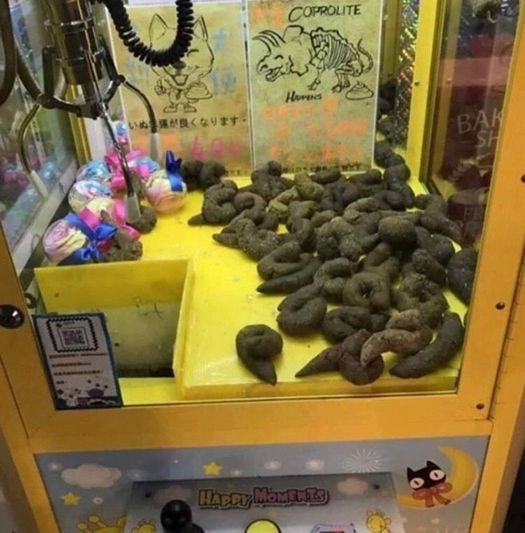 Федя, дичь!