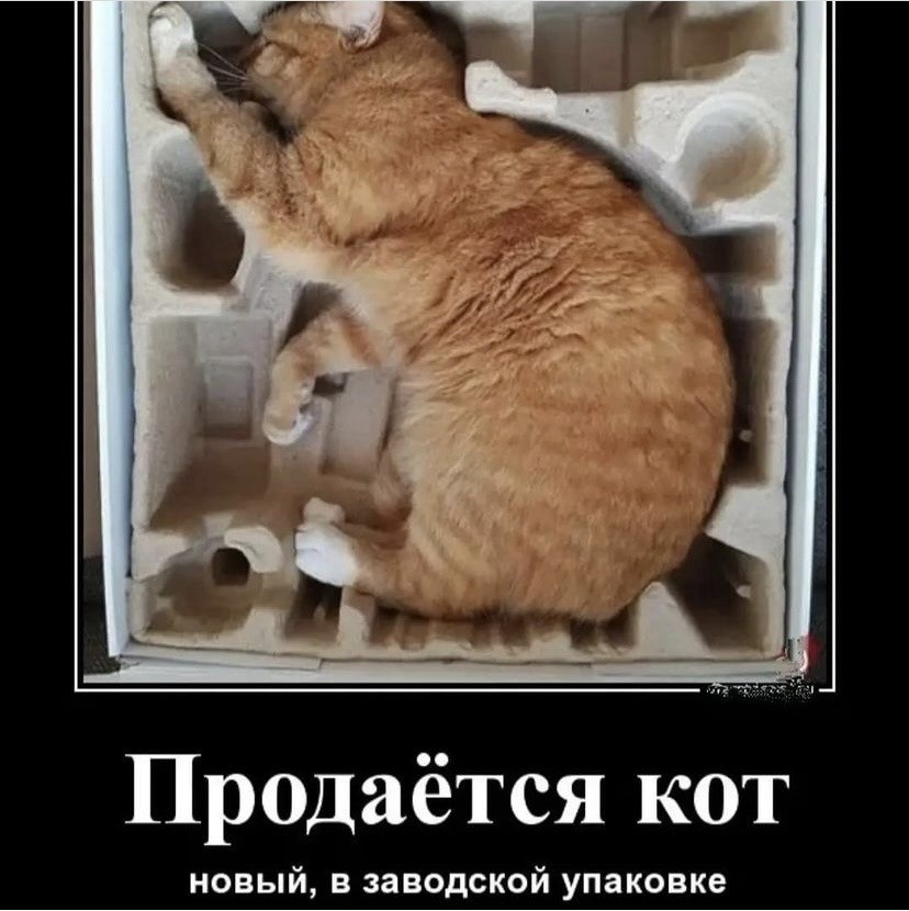15878882.jpg