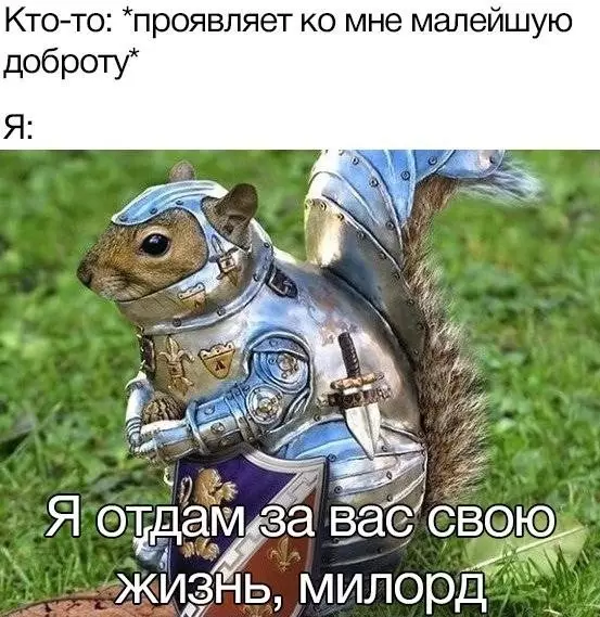 Картинки и мемы для настроения - 29