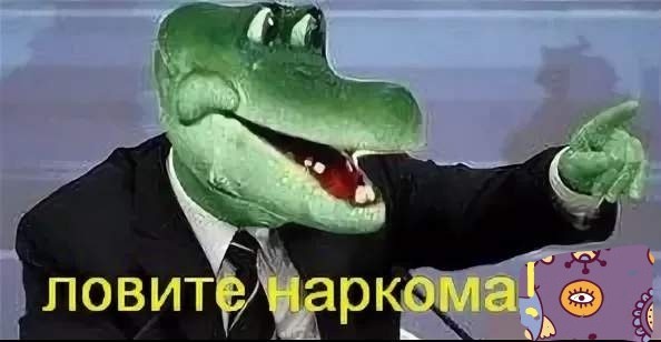 СМИ: в зону спецоперации направили новейшие танки «Прорыв-3»