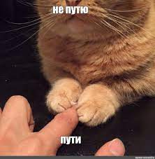 Зерновая сделка будет продлена