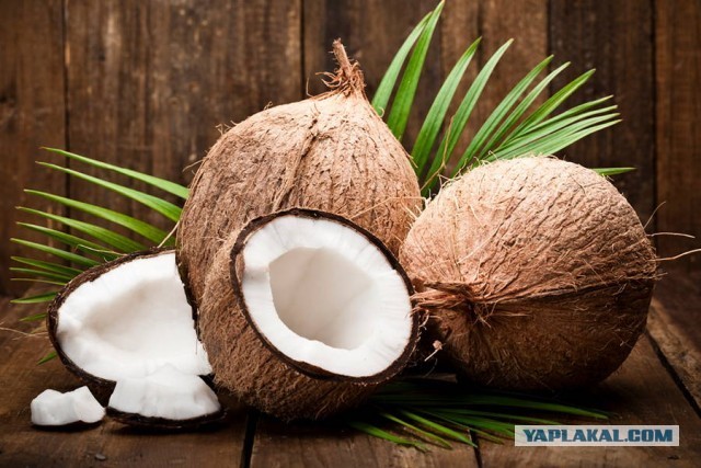 Литературный конкурс "Три Кокоса" — это вам не шутки!