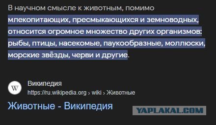 Укротитель змей