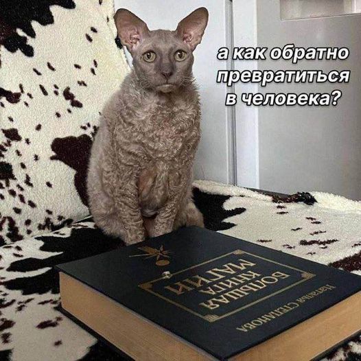 Юмор в картинках и без
