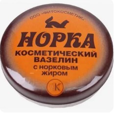 В Курской области норка пришла за рыбой прямо к рыбакам