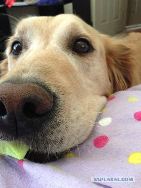 Это означает, что она тебя любит.