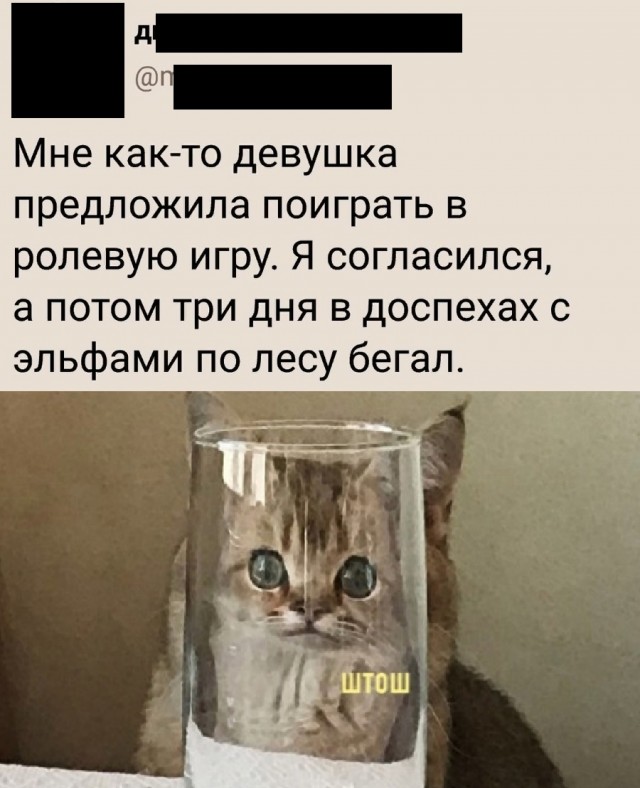 К котовторнику: подборка картинок-баянов с котиками и про котиков. Выпуск 17