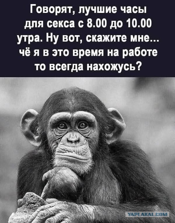 Картинки маленькой пятницы