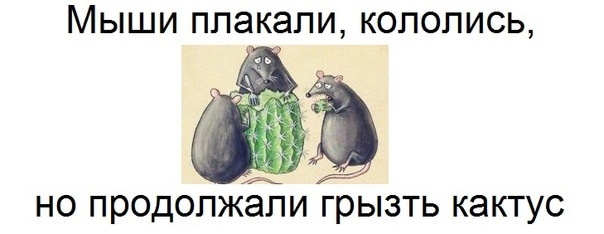 Накинулись с криками "Позор": как шокированные мерзостью зрители чуть не поколотили режиссёра Богомолова