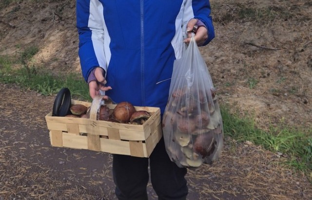 Сразу видно что они конченые